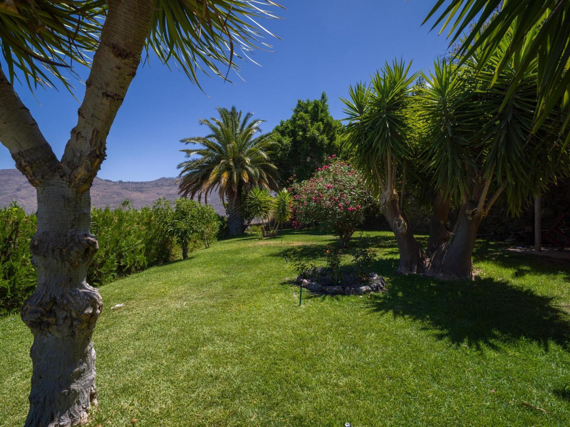 Chalets Rurales Bentayga 克鲁兹·德·特赫达 外观 照片